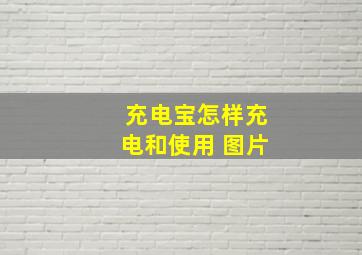 充电宝怎样充电和使用 图片